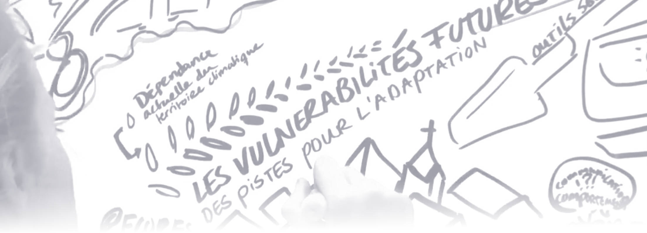 dessin impacts adaptation